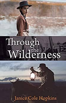 Through The Wilderness by Janice Cole Hopkins